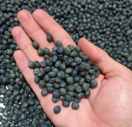 عکس آجیل و خشکبار کارون