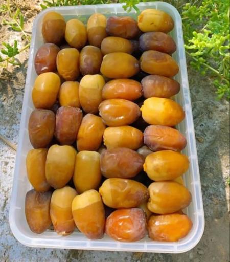 عکس ترش و شیرین گلها