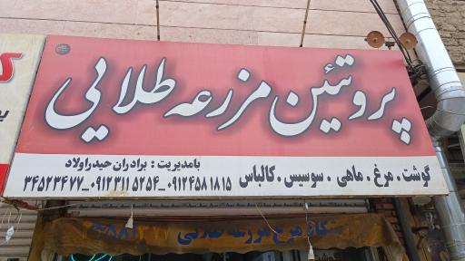 عکس فروشگاه مرغ مزرعه طلایی