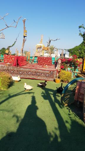 عکس کافه گلها