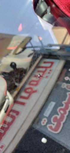 عکس ترمیم شیشه اتومبیل ممتاز