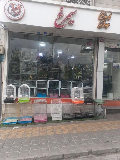 عکس پرنده فروشی سیمرغ