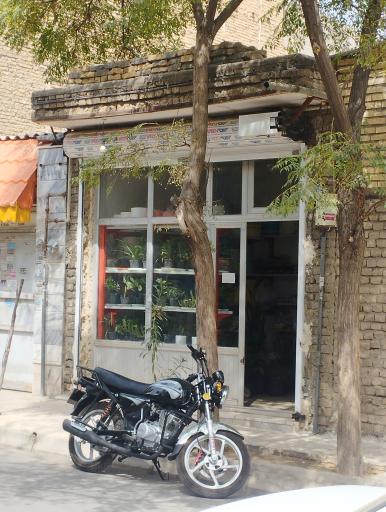 عکس گل فروشی 