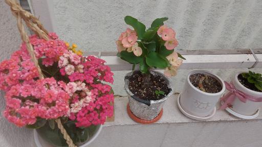 عکس اقامتگاه مهری خانم 