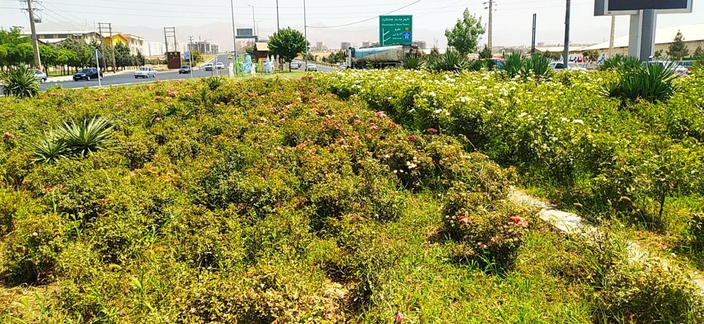 عکس میدان صنعت