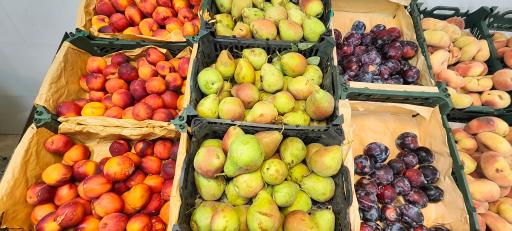 عکس سوپر میوه چهار فصل