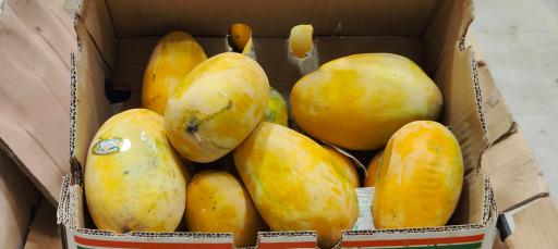 عکس سوپر میوه چهار فصل