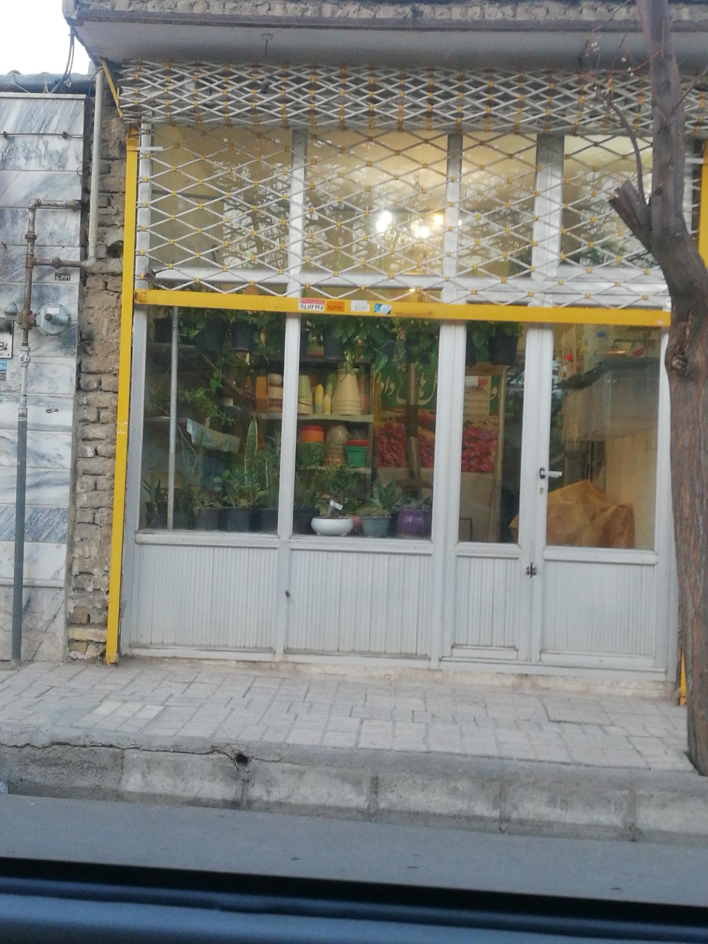 عکس گل فروشی 