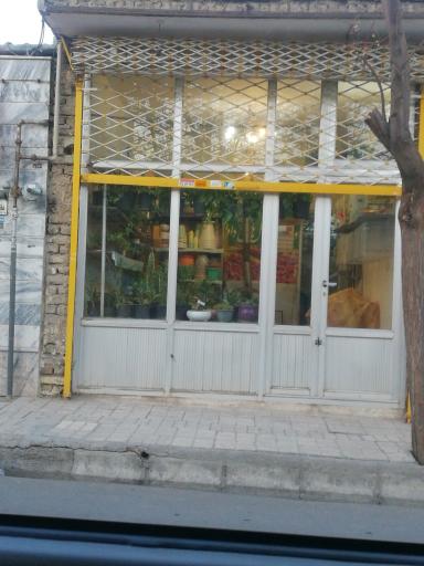 عکس گل فروشی 