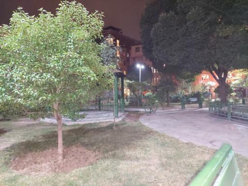 عکس بوستان صنوبر