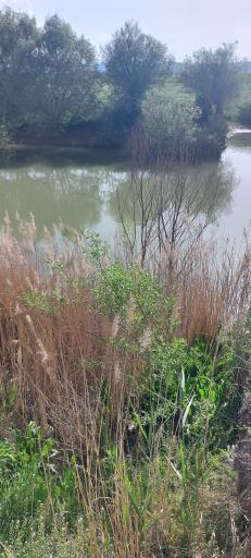 عکس رودخانه قره سو