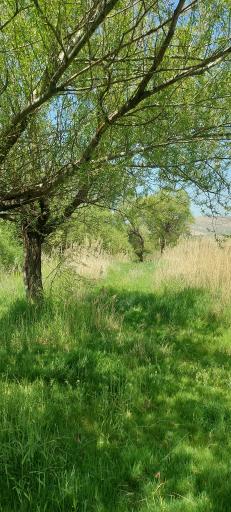 عکس رودخانه قره سو