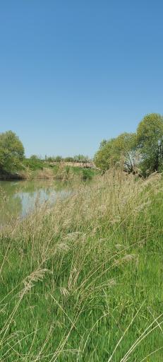 عکس رودخانه قره سو