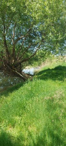 عکس رودخانه قره سو