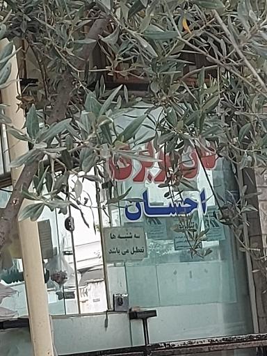 عکس نان بربری احسان