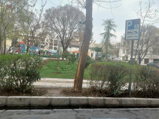 عکس بوستان صنوبر