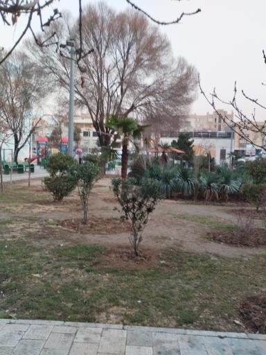 عکس بوستان صنوبر