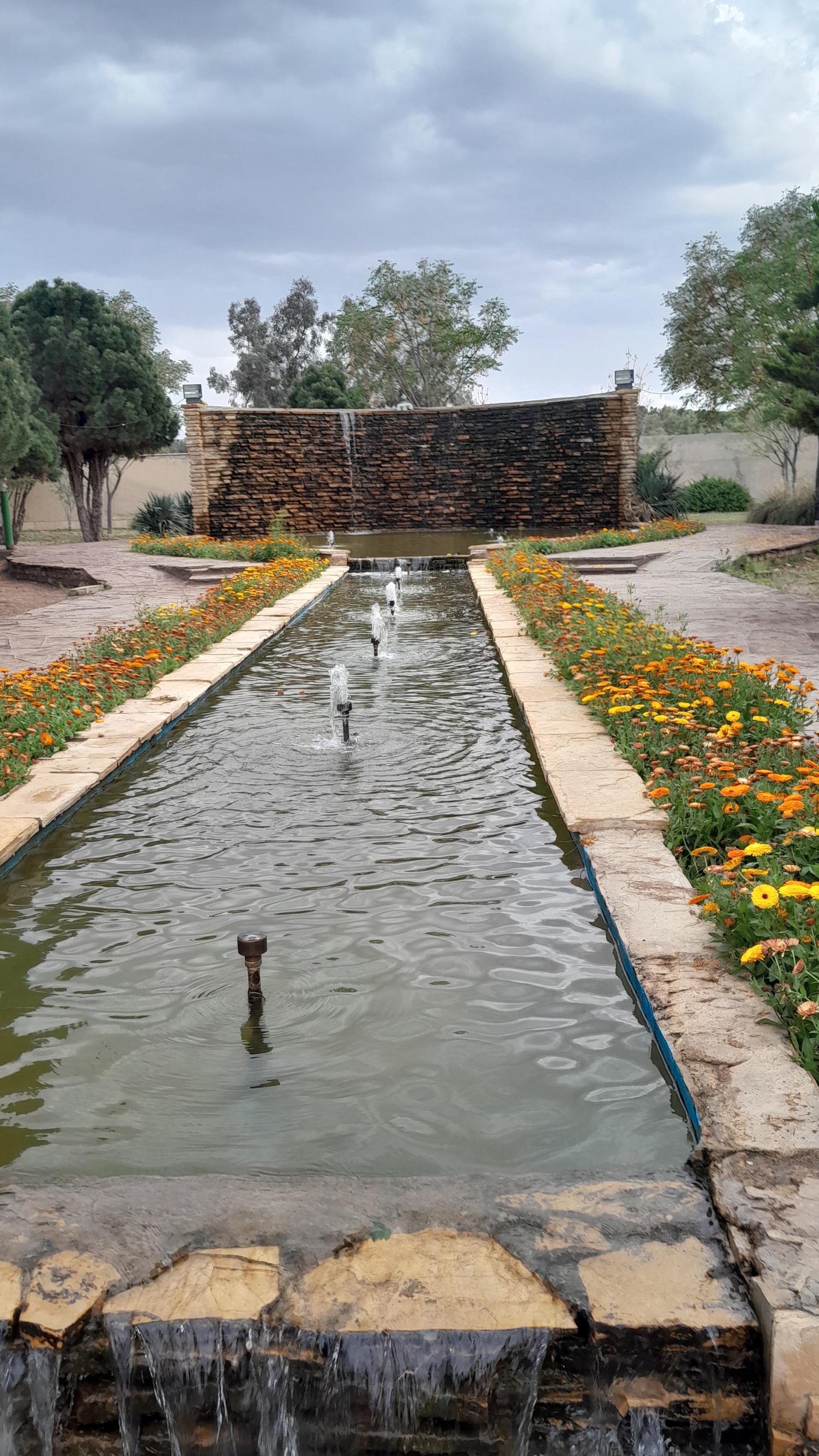 عکس رستوران طلاییه