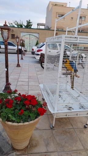 عکس هتل و رستوران ماهور