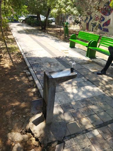 عکس بوستان صنوبر