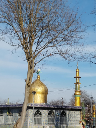 عکس امامزاده عبدالله کلرم
