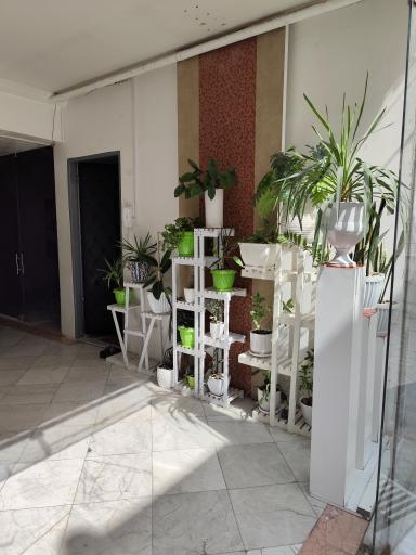 عکس خوابگاه دخترانه ویدا