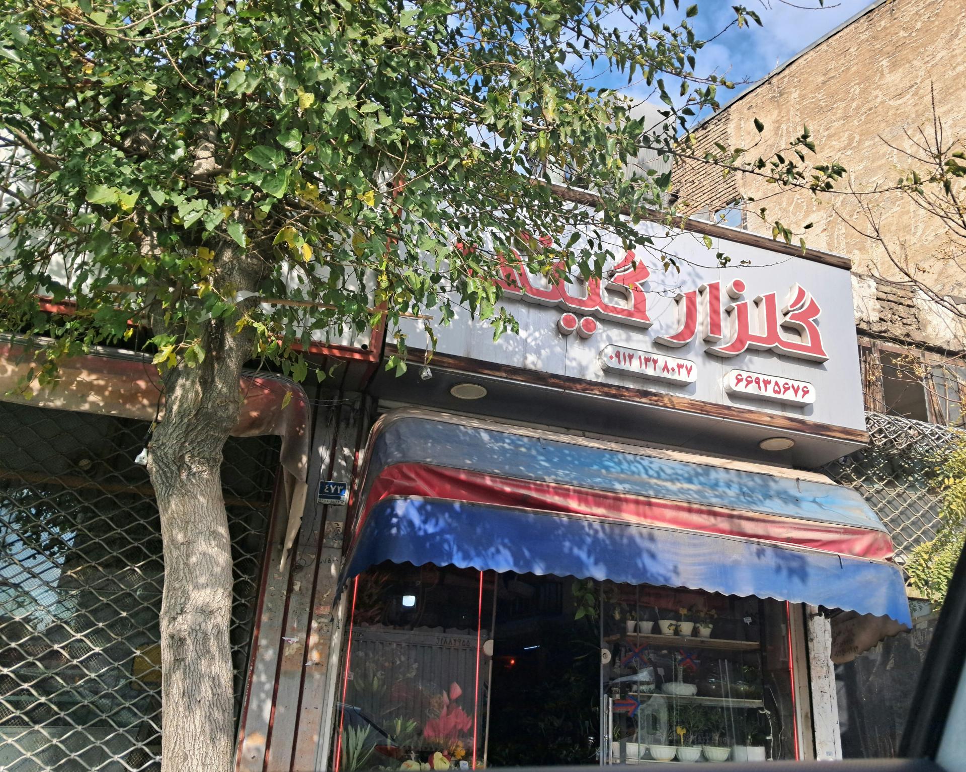 عکس گلزار گیتی