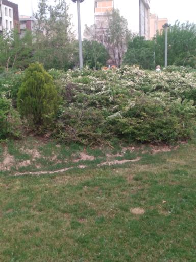 عکس بوستان دلاوران