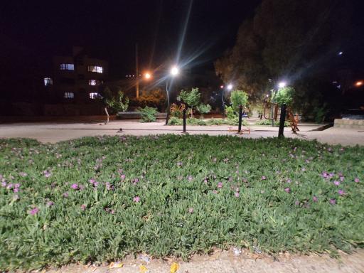 عکس پارک محله ای قانعی