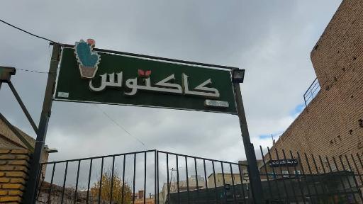 عکس مجموعه گل و گیاه کاکتوس