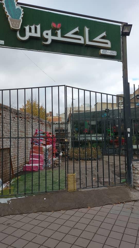 عکس مجموعه گل و گیاه کاکتوس