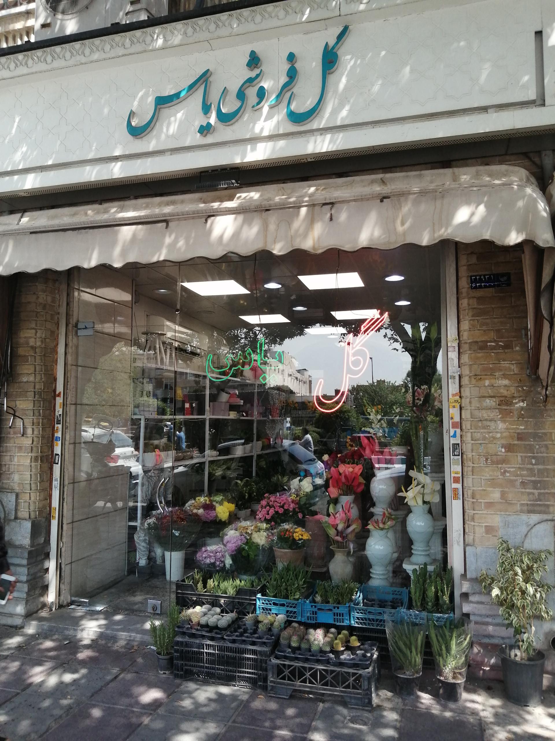 عکس گل فروشی یاس