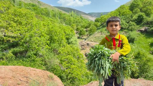 عکس تفرجگاه آبشار گنبرف