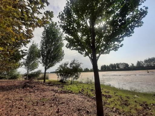 تالاب آقا آب بندان