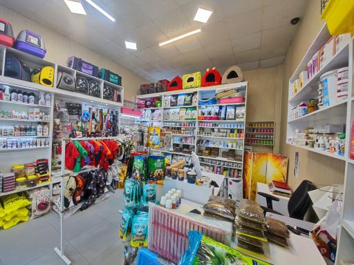 عکس پت شاپ میچکا