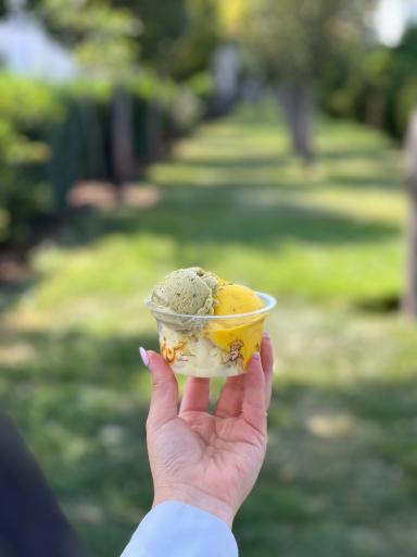 عکس بستنی سنتی حسن نمونه