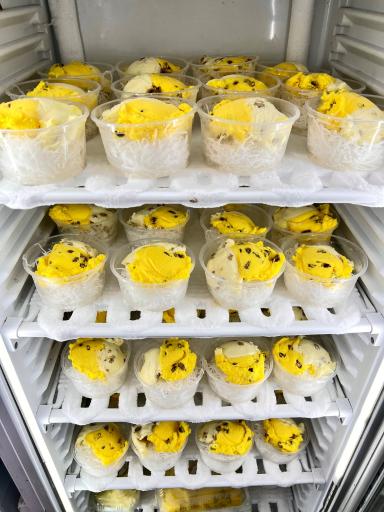 عکس بستنی سنتی حسن نمونه