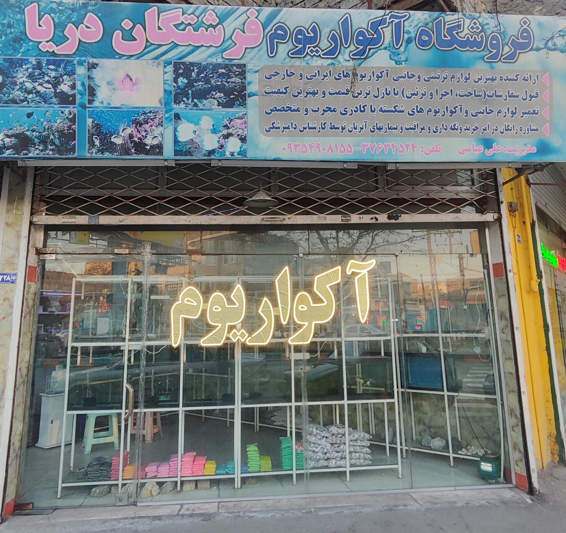 عکس اکواریوم فرشتگان دریا