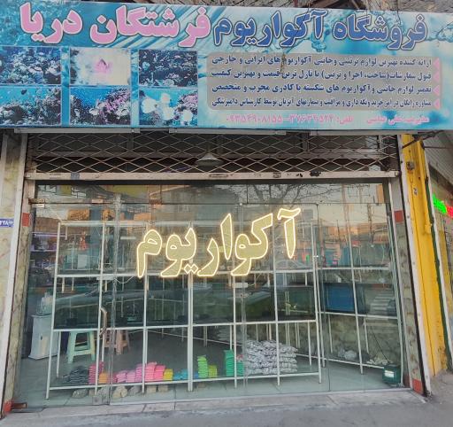 اکواریوم فرشتگان دریا