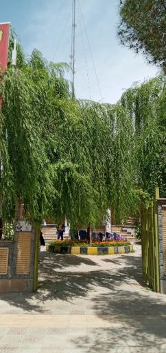 عکس شهرداری لردگان