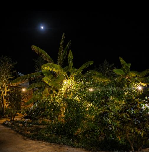 عکس کافه باغچه دفاری