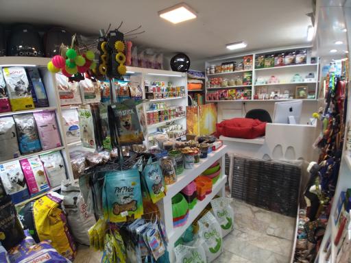 عکس پت شاپ میچکا