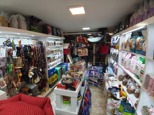 عکس پت شاپ میچکا