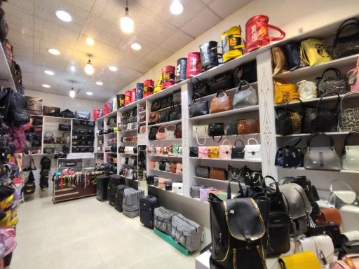 عکس کیف و کفش ثنا