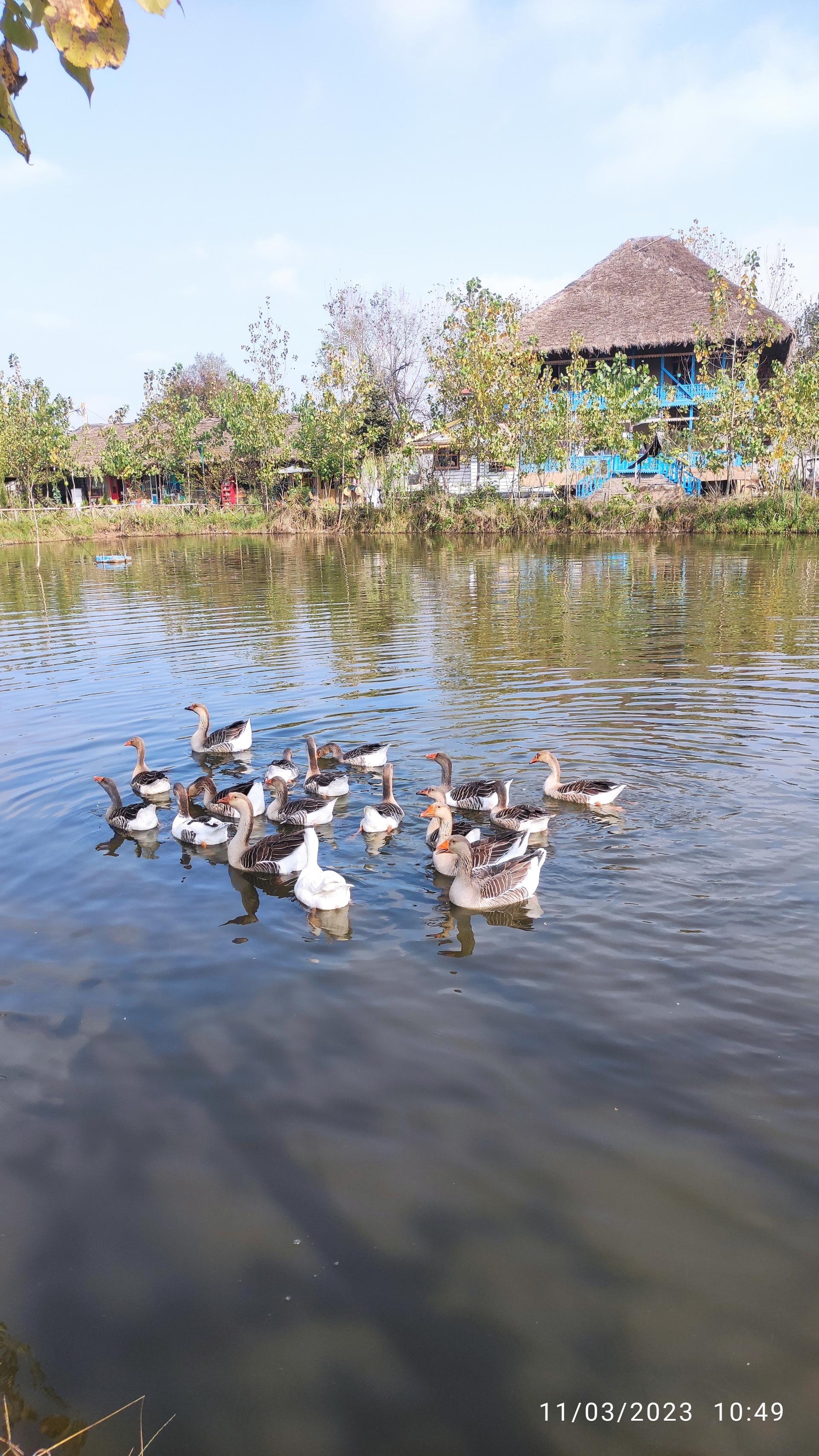 عکس اقامتگاه بومگردی پیله آقا صفری