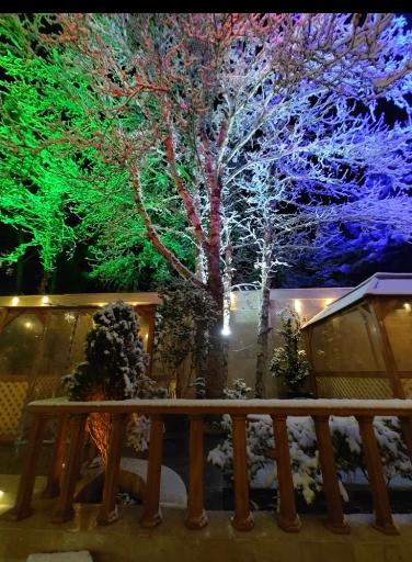 عکس کافه هزار دستان