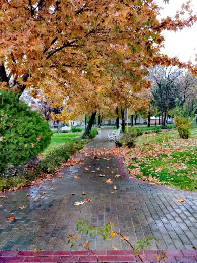 عکس بوستان لاله