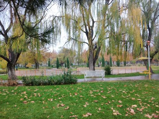 عکس بوستان لاله