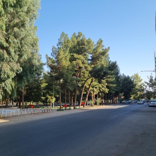 بوستان شادی ها