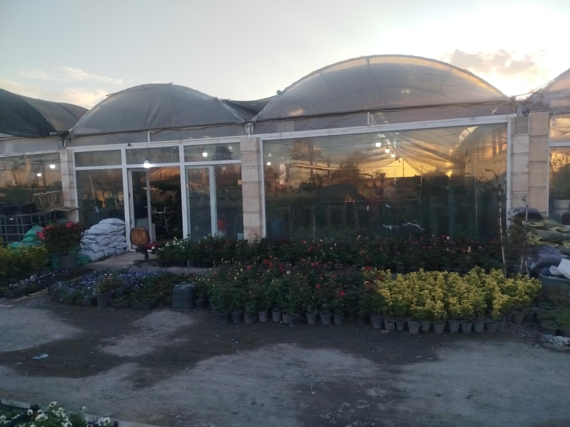 عکس گلخانه سی تی گل 1